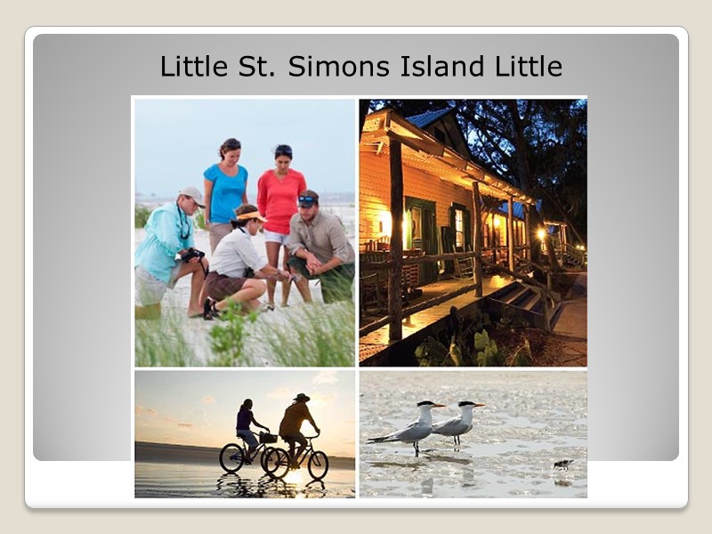 Little St. Simons Island Little